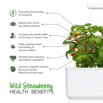 Căpșuni sălbatice (Wild Strawberry) pentru Click & Grow - Smart Garden Click and Grow - 1