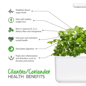 Coriandru (Coriander) pentru Click & Grow - Smart Garden Click and Grow - 1