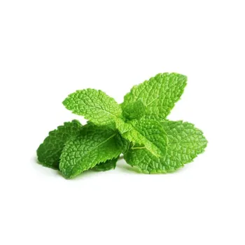 Mentă (Peppermint) pentru Click & Grow - Smart Garden Click and Grow - 1