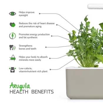 Rucola (Arugula) pentru Click & Grow - Smart Garden Click and Grow - 1
